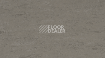 Линолеум Gerflor Linodur Sport 1059 Slate Grey фото 1 | FLOORDEALER